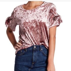 Pleione Pink Velvety Velvet Short Sleeve top shirt